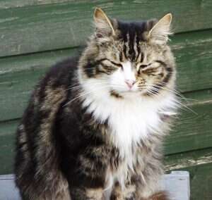 George