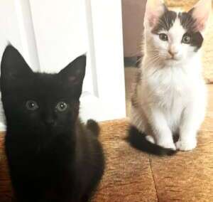 Margot & Seven