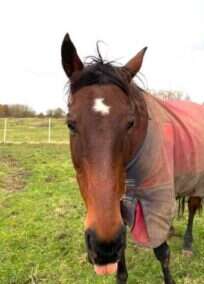 Trueman